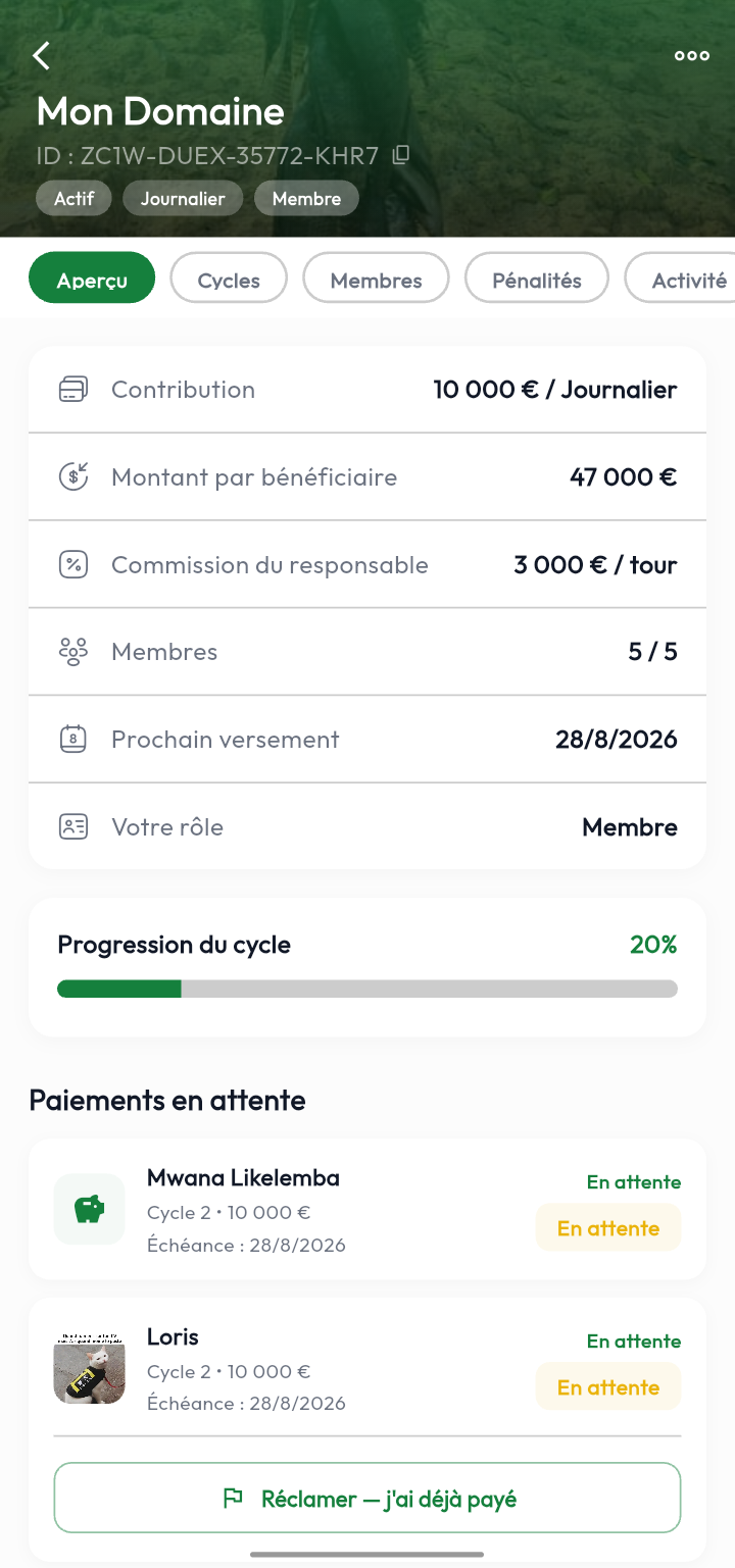 Aperçu d'un groupe : contribution, prochain versement et paiements en attente